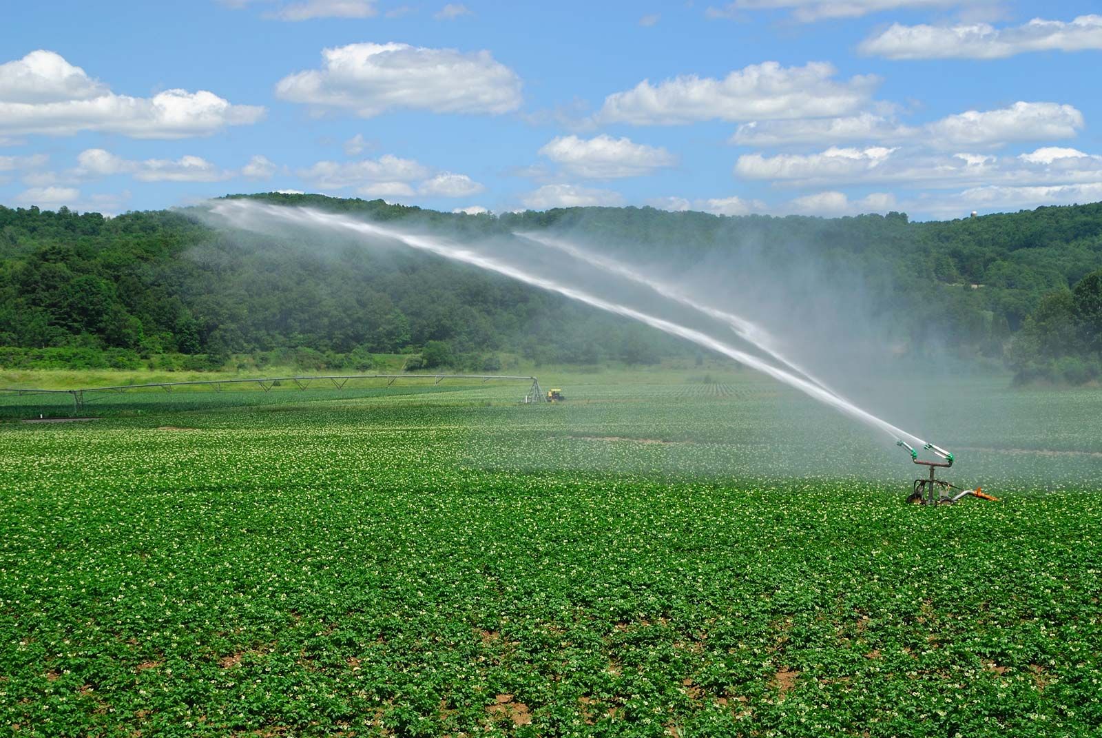 IRRIGATION OF THE COURSE PROJECT